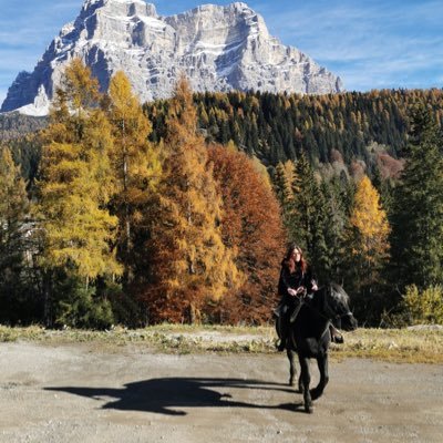 Host and Property Manager in Wonderland: Dolomites.