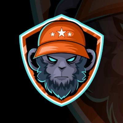 TRT Fortnite Clan Looking For Competitive And Casual Fortnite , Valorant And Pubg Players
-Clan Leader