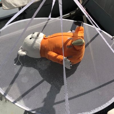 たみさんのプロフィール画像