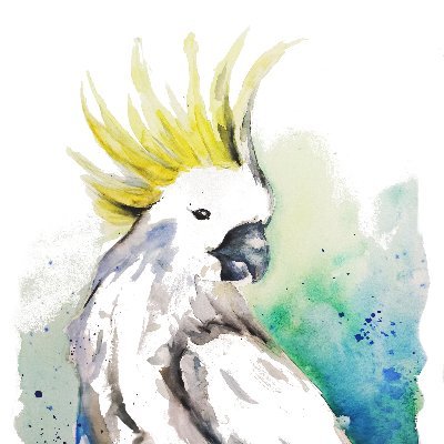 wildlittlemangoさんのプロフィール画像