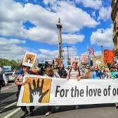 Klimaatmoeders's profile picture. Moeders voor klimaatactie!