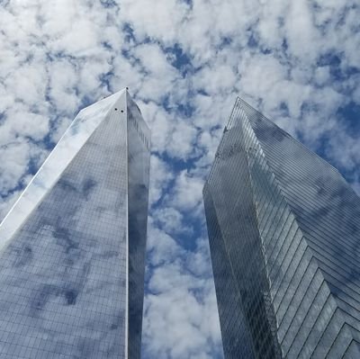 HaleLegalGroup's profile picture. Civil rights attorney for the people of New York.   718-554-7344