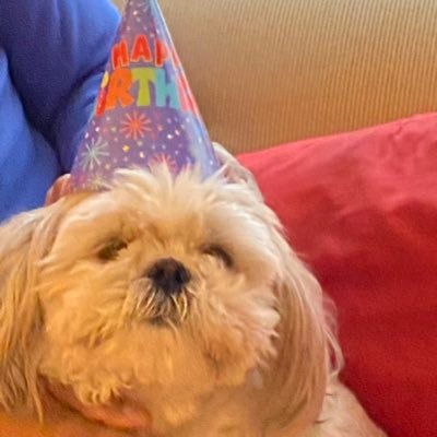 jennifromthechi's profile picture. 