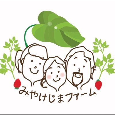 三宅島で赤芽芋、いちご、パッションフルーツ、季節の野菜等5反の畑で営農中~ #みやけじまファーム #農家の朝礼 #三宅島 #赤芽芋 #いちご #パッションフルーツ #猫のいる暮らし