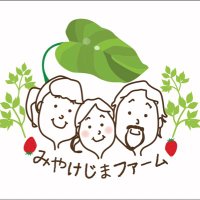 みやけじまファーム(@Miyakejimafarm) 's Twitter Profile Photo