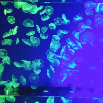 aya_chan_123's profile picture. 愛知名古屋の裏垢です✨ よろしくおねがいします☺️ 特におじ様大好きです🥰 いろんな事してみたいです🙌  LINE交換❌まずはメッセージリクエストからお願いします🙇‍♀️