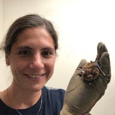 Neuroethologist 🦇Auditory processing in bats. Assistant Professor @UIC_BioS she/her 🇦🇷