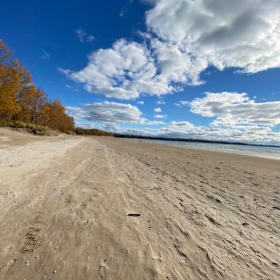 colmarnaud's profile picture. wife and mom, retired, family genealogist, Irish and French Canadian, bird watcher and proud of our home cooked meals.