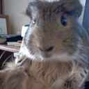 Andrew Mutton - @AndrewFMutton - Twitter