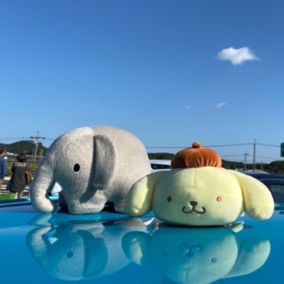 shinosuke7T's profile picture. 大将軍→東山Eu9→駿阪MS→浜医18オケ→北大研2