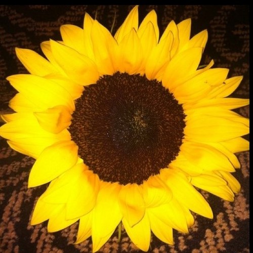 TJK2INCLUDE's profile picture. Inclusion coach, educational consultant, author, professor- walking the inclusion talk to focus on learners-not their labels!