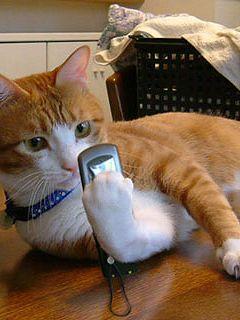 regain109's profile picture. 楽しいこと、新しいこと、珍しいこと、懐かしいこと、美味しいこと、お得なこと、ジミにヘンなことを探しながら、東京を中心に歩きまわっています。