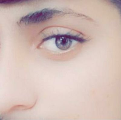 Hassan04999455's profile picture. SEO