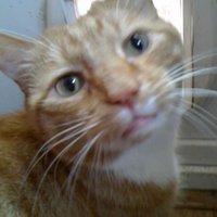 Sue๐โ (@susieteach2) 's Twitter Profile