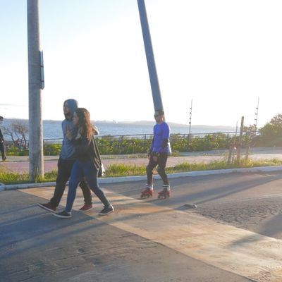 fernando8066's profile picture. 