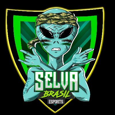 ▶️Líder @Snolzerah
A Selva Brasil tem como foco unir todos os players independente da sua plataforma.