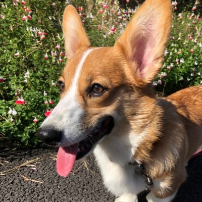 ルーシー Auf Twitter 皆さんが教えてくれた 嵐カラーマグカップ 千葉県のイオンマリンピア店にありました お茶碗と箸置きもありました 早速マグカップと箸置き購入 もちろん M マグカップは798円 箸置きは598円でした あ ちなみにアルバム初回限定盤 ルーシー Auf Twitter 皆さんが教えてくれた 嵐カラーマグカップ 千葉県のイオンマリンピア店にありました お茶碗と箸置きもありました 早速マグカップと箸置き購入 もちろん M マグカップは798円 箸置きは598円でした あ ちなみにアルバム初回限定盤