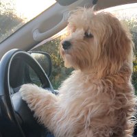 Willie Byrne (@wilbyr) 's Twitter Profile