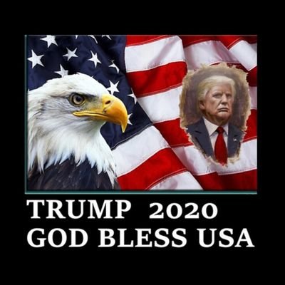 I follow back all Patriots! 🇺🇸
God, Family, animals. Long live our Glorious USA #MAGA #KAG