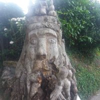 Lonely (@lonelyasa_cloud) 's Twitter Profile