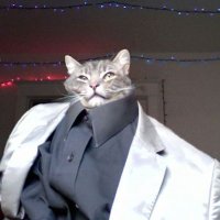 Dmitry (@g0odvvin) 's Twitter Profile