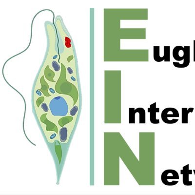 Euglena International Network