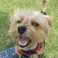 The Supra And Nano Lab (@supranano) 's Twitter Profile