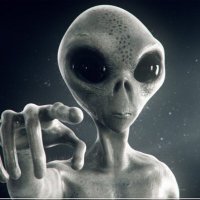 Alien(@alien_f_t_w) 's Twitter Profile Photo