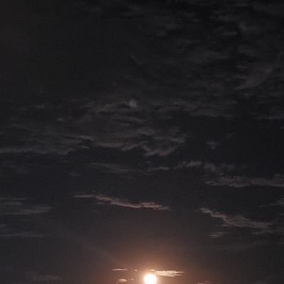 lucifer66662738's profile picture. 667