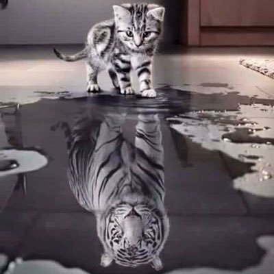DB89115912's profile picture. ✝️MAGA!✝️ I love my block button 🚫 DMs please! Just a Grandma hoping the world gets to be a better place for future generations