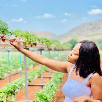 Portia_King's profile picture. Mommy shark 🦈 to 3 baby sharks.