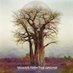 AuntieTree (@treeauntie) Twitter profile photo AuntieTree (@treeauntie) Twitter profile photo