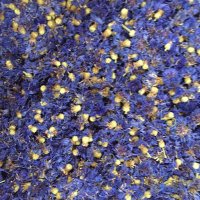 Sabine Rolland (@sbarthe777) 's Twitter Profile Photo