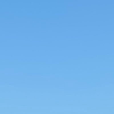 setone_436's profile picture. 