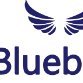 Blueburyindia