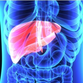 Liver: Disease