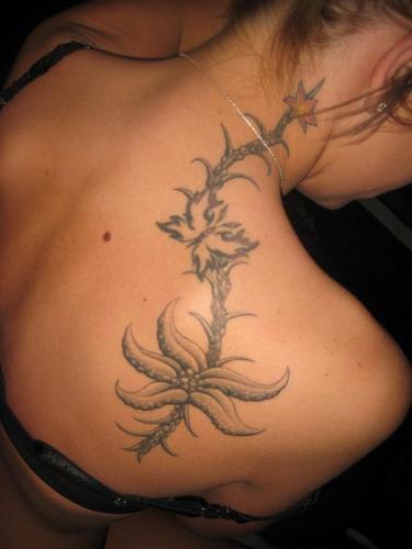 Marchellcoco's profile picture. How to Get a Low-Interest USDA Home Loan