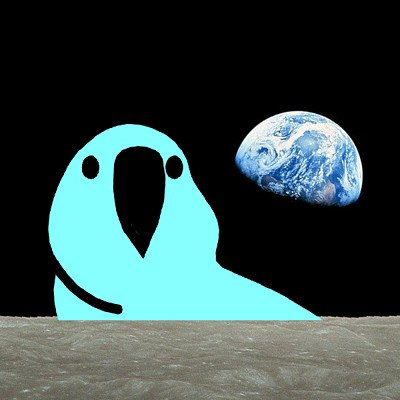 ds54e's profile picture. Verilogであそびたかった（過去形）