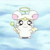 エンジェルちゃん F A D E L E S S Twitter エンジェルちゃん F A D E L E S S Twitter