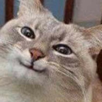 SavageCabage14's profile picture. hello || 19