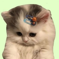 catalina kawaii UwUさんのプロフィール画像