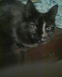 redheadedbrt's profile picture. 