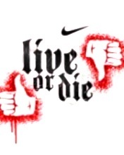 avinashsingh5's profile picture. 