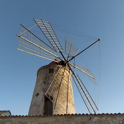 siciliaon's profile picture. 