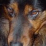 rmathematicus's profile picture. Aging freak who fell in love with the history of science and now resides mostly in the 16th century.