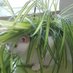 murmilo (@murmilo1) Twitter profile photo murmilo (@murmilo1) Twitter profile photo