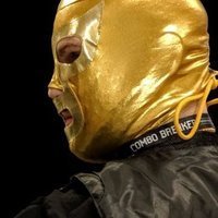 GoldenFate17 (@goldenfate17) 's Twitter Profile