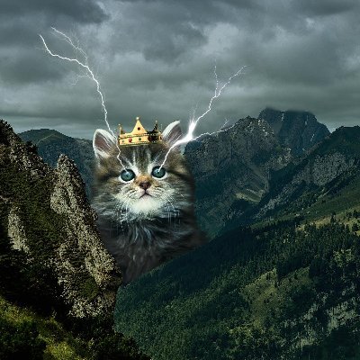 Bundsch90207916's profile picture. Look from this height whereon we find us
Back to the town we have left behind us,

Where from the dark and narrow door
Forth a motley multitude pour.