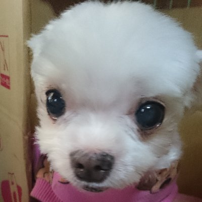 ara_sakana's profile picture. noteのPM　https://t.co/UvB441Ujct