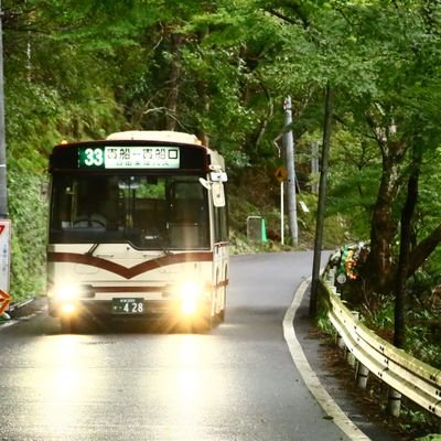 京都に住んでるバス好きです。
主に京都バスを撮影しています。
前後扉、ツーステは好きですが、特には富士重7E＆ISUZUが好きです。
よろしくお願いします。